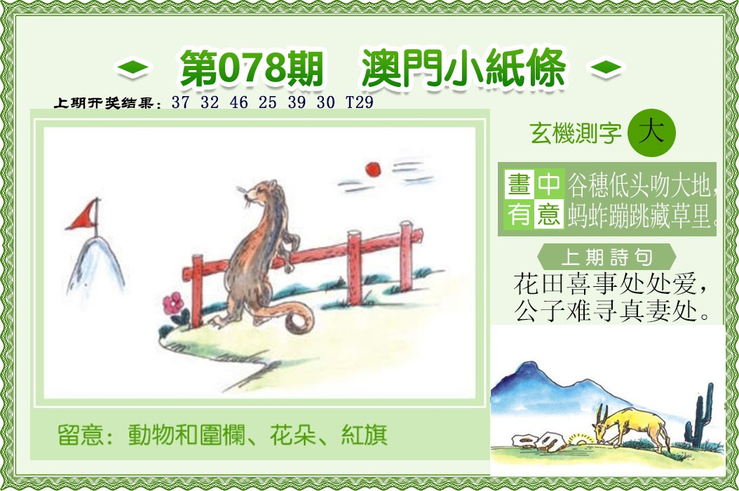 078期澳门小纸条[图]