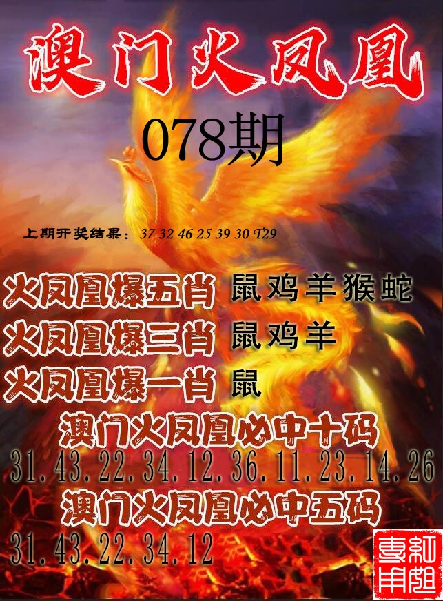 078期火凤凰[图]